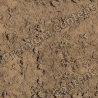 High Resolution Seamless Waterplants Texture 0001